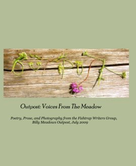 Outpost: Voices From The Meadow book cover