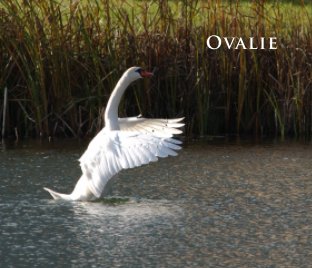 Ovalie book cover