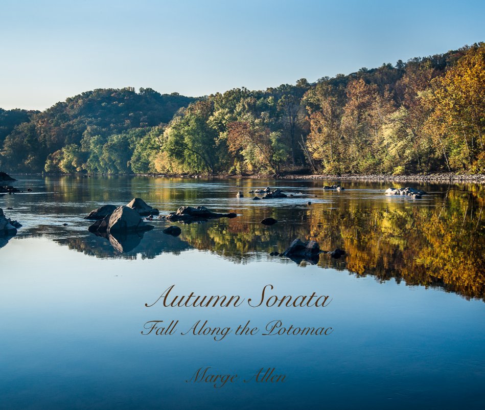 View Autumn Sonata by Marge Allen