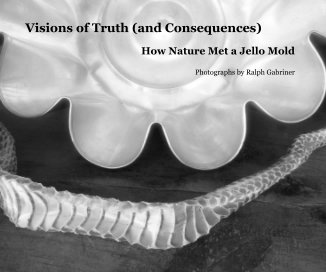 Visions of Truth (and Consequences) book cover