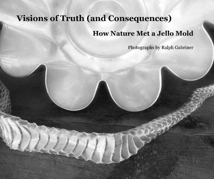 View Visions of Truth (and Consequences) by Ralph Gabriner