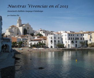 Nuestras Vivencias en el 2013 book cover