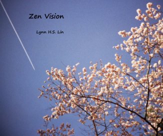 Zen Vision book cover