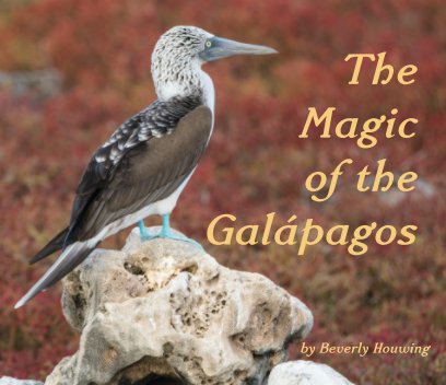 The Magic of the Galapagos book cover