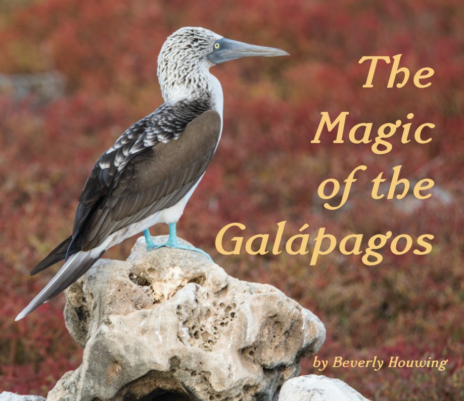 View The Magic of the Galapagos by Beverly Houwing