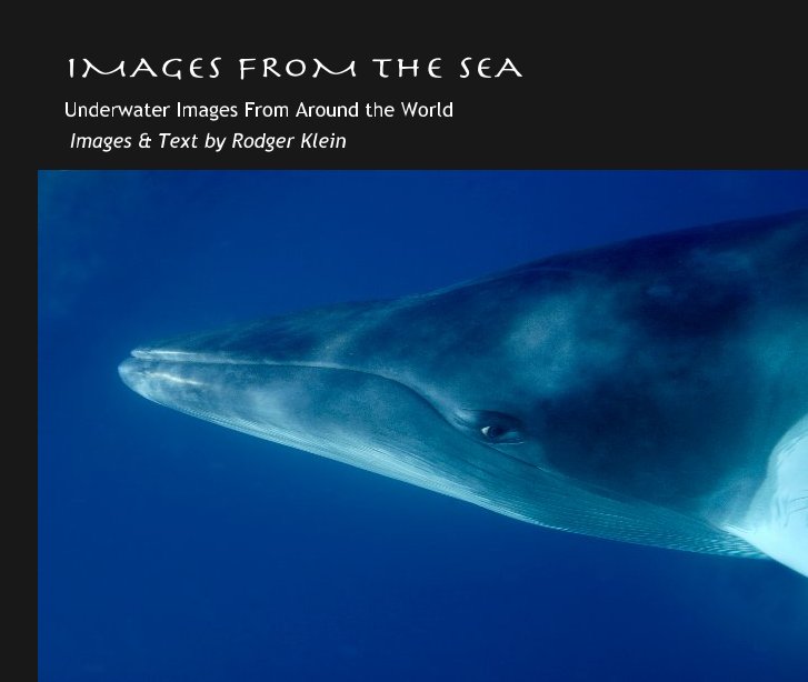 View IMAGES FROM THE SEA by Images & Text by Rodger Klein