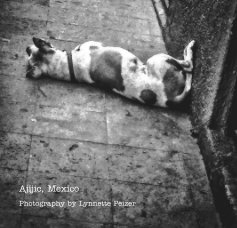 Ajijic, Mexico book cover