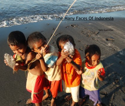 The Many Faces Of Indonesia book cover