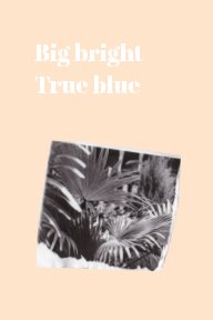 Big Bright, True Blue book cover