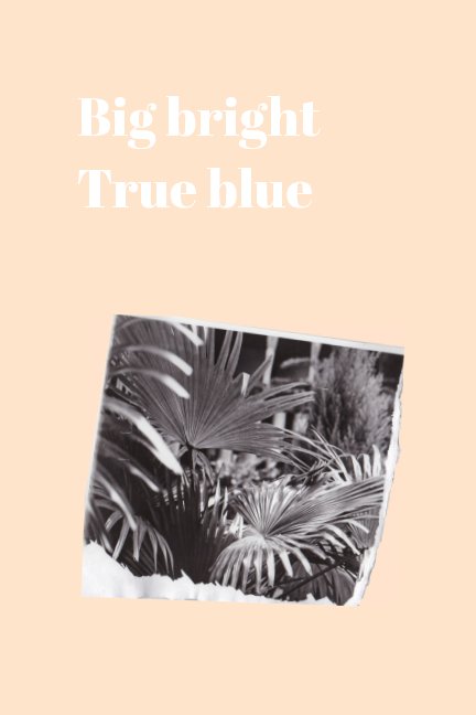 Ver Big Bright, True Blue por Julia Kokernak