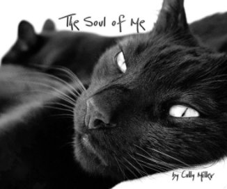 The Soul of Me book cover