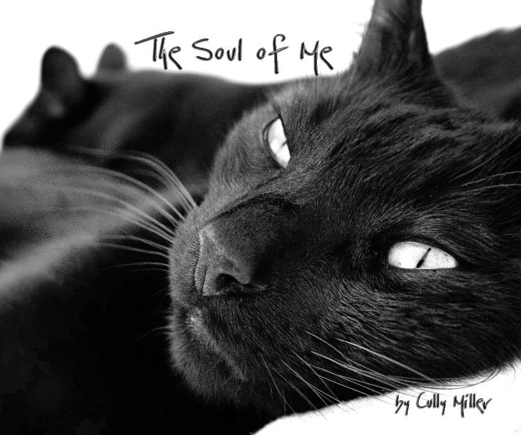 View The Soul of Me by Cully Miller