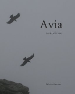 Avia book cover