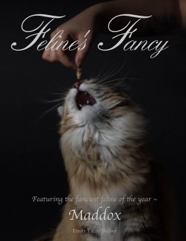 Feline's Fancy book cover