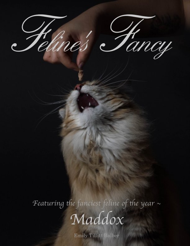 Visualizza Feline's Fancy di Emily Tillitt Balber