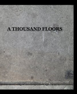 A THOUSAND FLOORS book cover