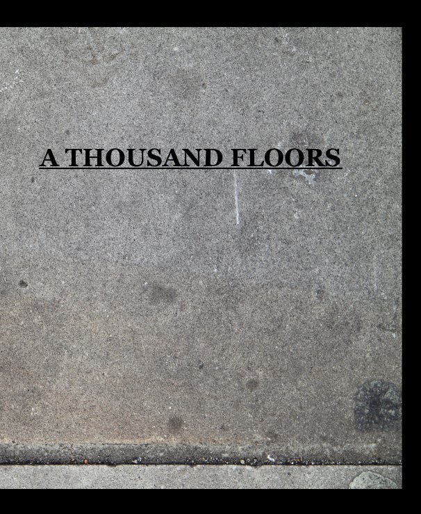View A THOUSAND FLOORS by NEAL MOONSTONE