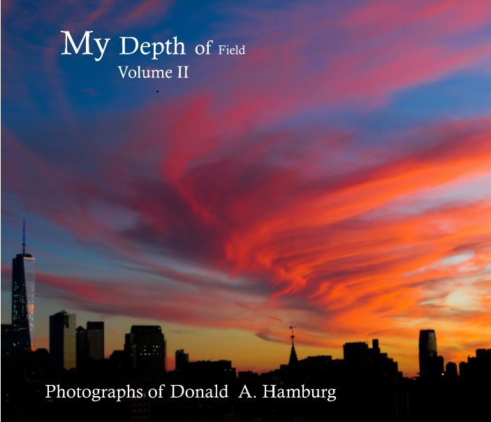 Ver My Depth of Field Volume 2 por Donald A. Hamburg
