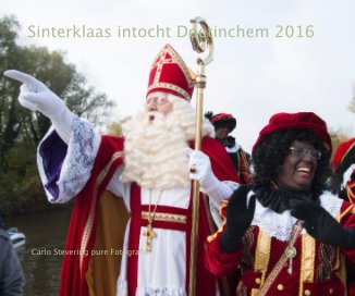 Sinterklaas intocht Doetinchem 2016 book cover
