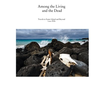Among the Living  and the Dead book cover