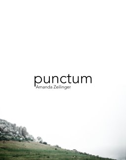 Punctum book cover