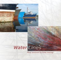 Waterlines book cover