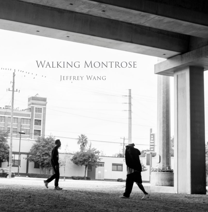 Visualizza Walking Montrose di Jeffrey Wang