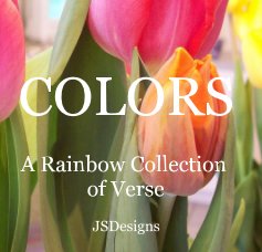 COLORS book cover