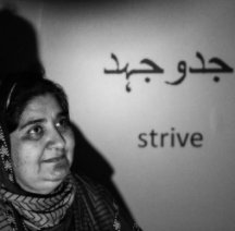 Strive: Images and Words by Immigrants book cover