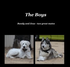 The Boys book cover