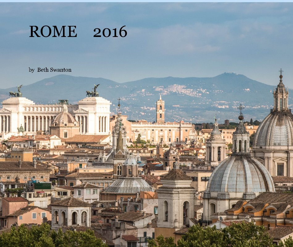 View Rome 2016 by Beth Swanton