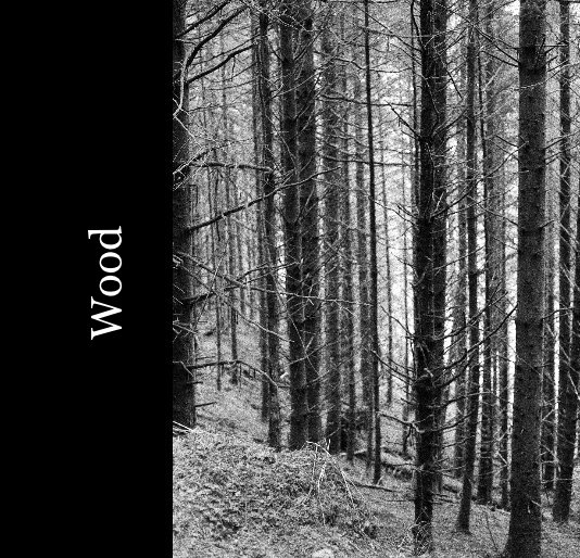 View Wood by John Sumpter