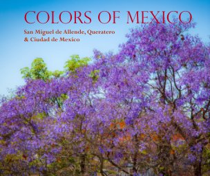 Colors of Mexico book cover
