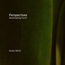 Perspectives Illuminating Form book cover