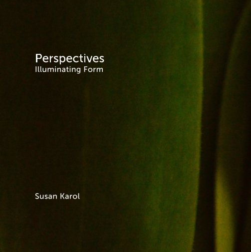View Perspectives Illuminating Form by Susan Karol
