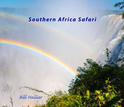 Southern African Safari book cover