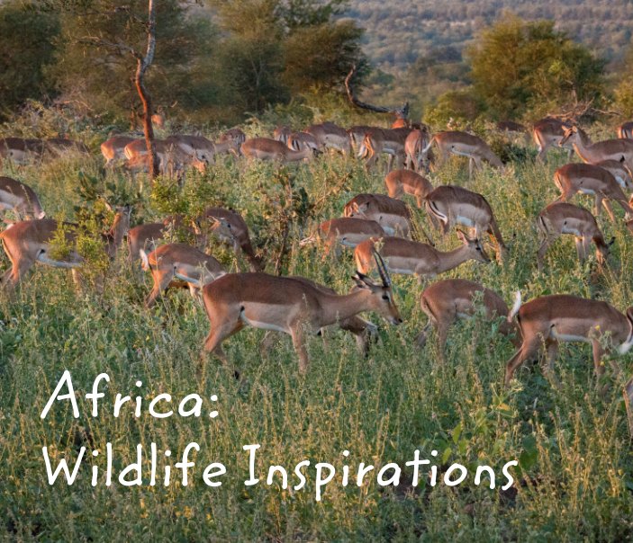 View Africa: Wildlife Inspirations by Boris Leite