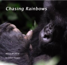 Chasing Rainbows book cover