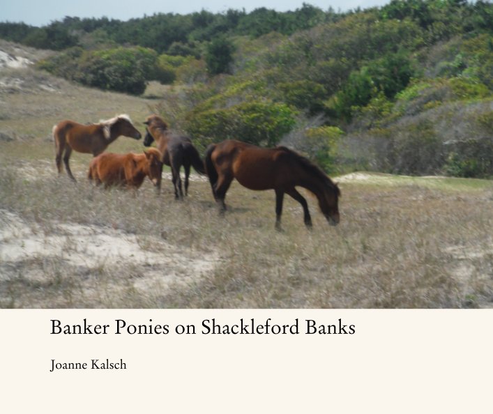View Banker Ponies on Shackleford Banks by Joanne Kalsch