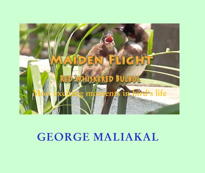 Ver Maiden Flight - Red Whiskered Bulbul por GEORGE MALIAKAL