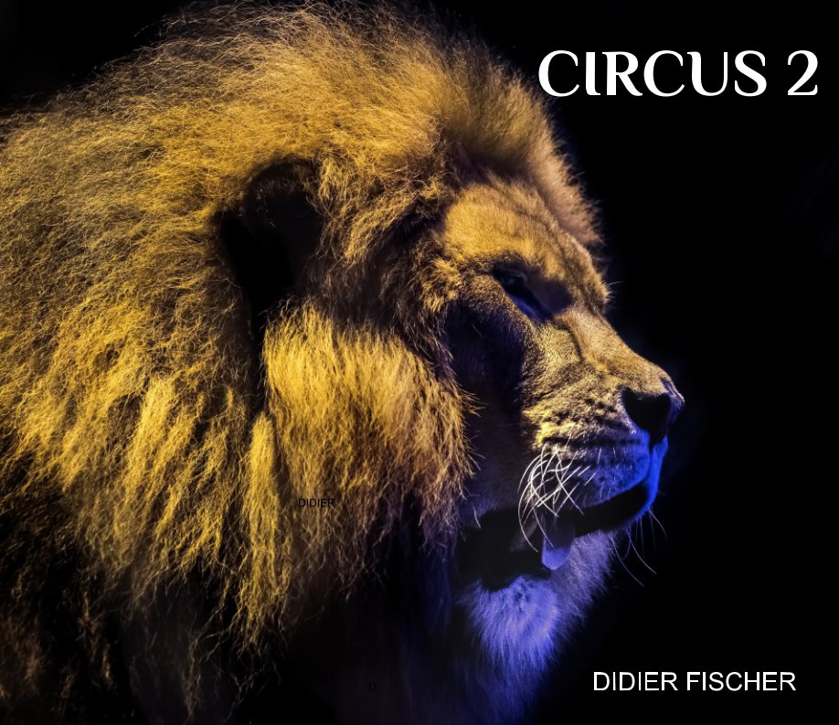 View CIRCUS  2 by DIDIER FISCHER