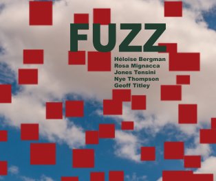 Fuzz book cover