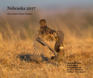 Nebraska 2017 book cover