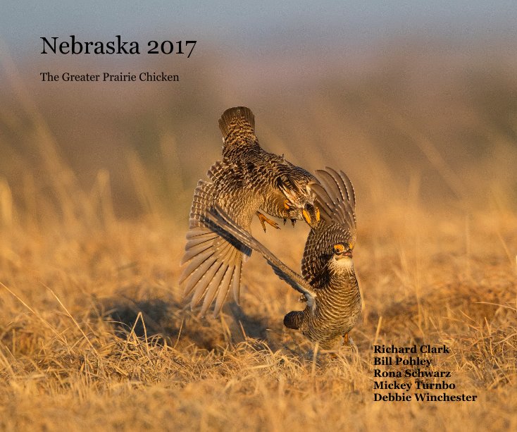 View Nebraska 2017 by Mickey Turnbo