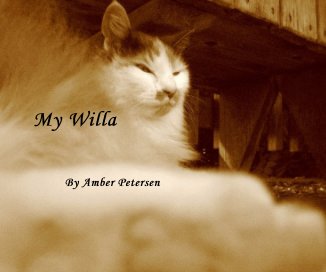 My Willa book cover