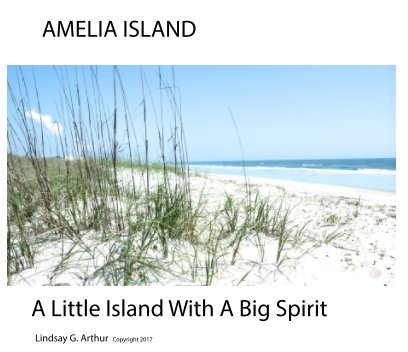 Amelia Island -- A Little Island with a Big Spirit book cover