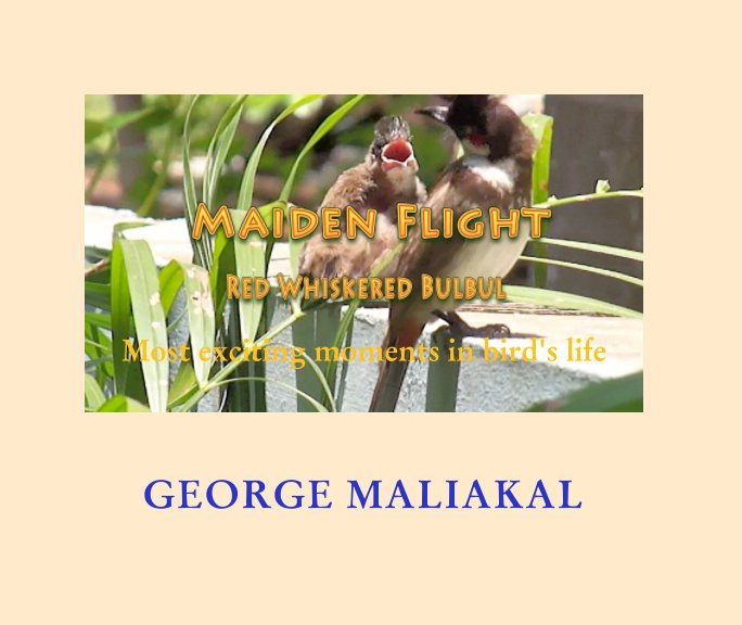 Bekijk Maiden Flight - Red Whiskered Bulbul op GEORGE MALIAKAL