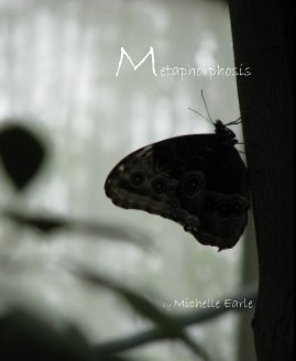 Metaphorphosis book cover