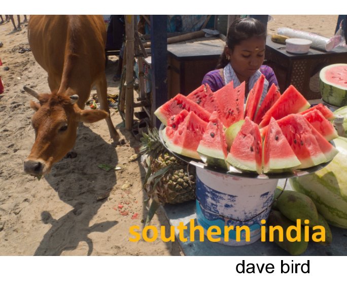 View Southern India by Dave Bird