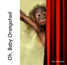 Oh, Baby Orangutan! book cover